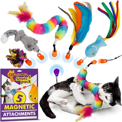 Magnetic Cat Toy