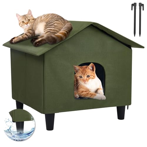 Outdoor Heated Beds for Cats