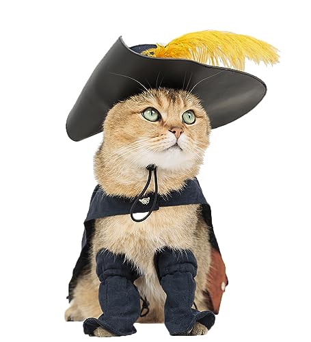 Puss in Boots Costume for a Cat