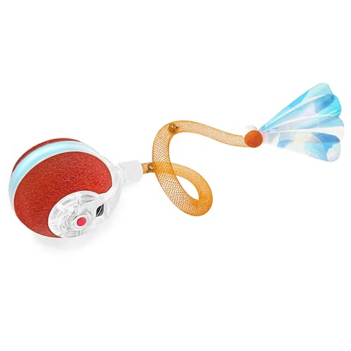 Remote Controlled Cat Toy