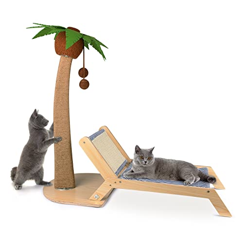 The Catio Cat Lounge Photos