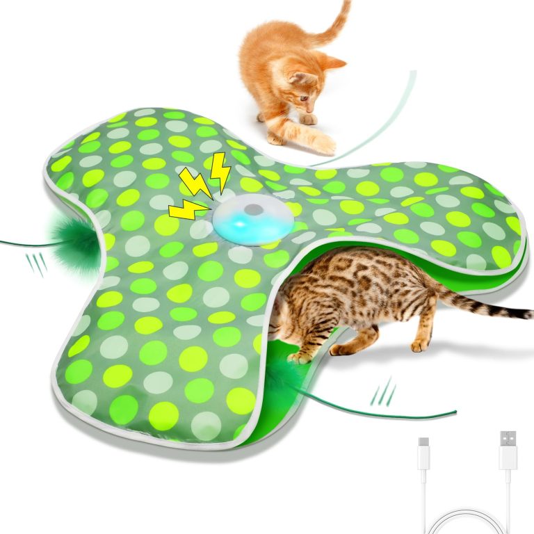 What are the Best Cat Toys for Indoor Cats