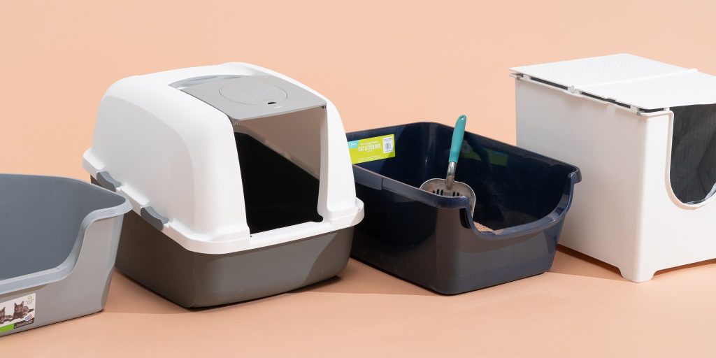 What are the Best Litter Boxes for Cats