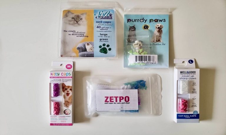 What are the Best Nail Caps for Cats