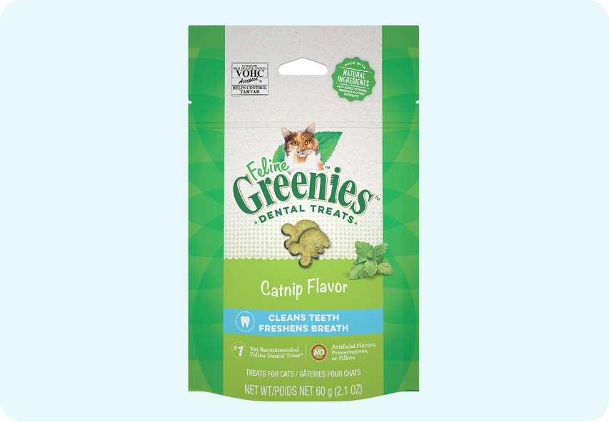 What are the Best Recommended Dental Treats for Cats