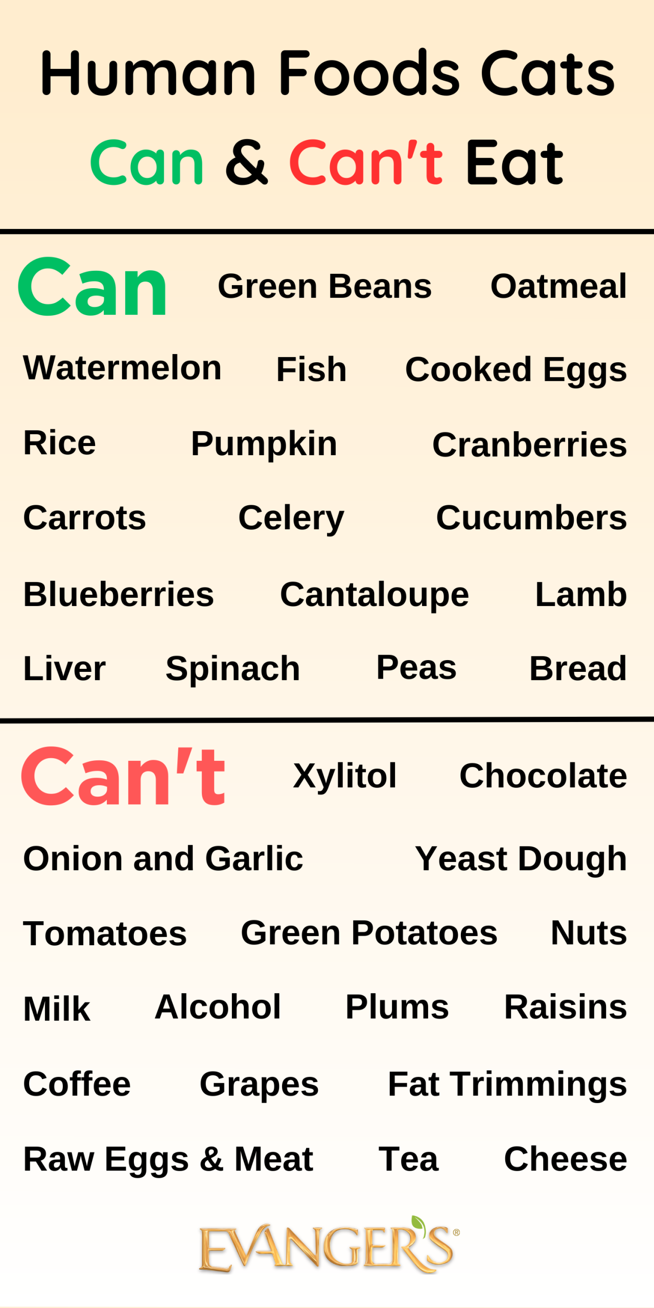 What Can Cats Eat Instead of Cat Food: Healthy Alternatives