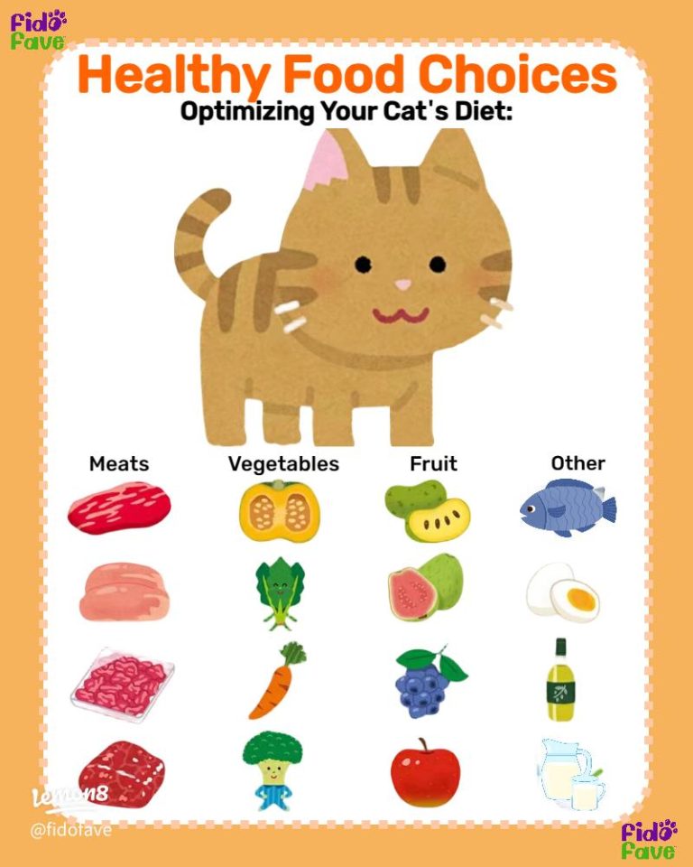 What Can Kittens Eat Besides Cat Food