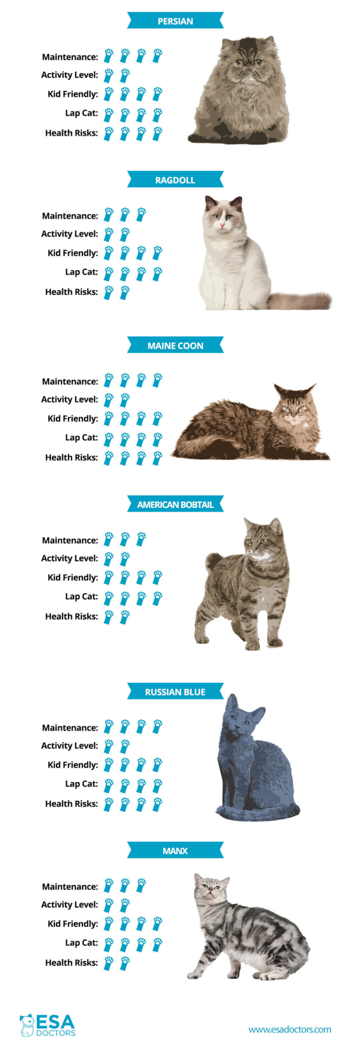 What Cat Breed is Best for Me