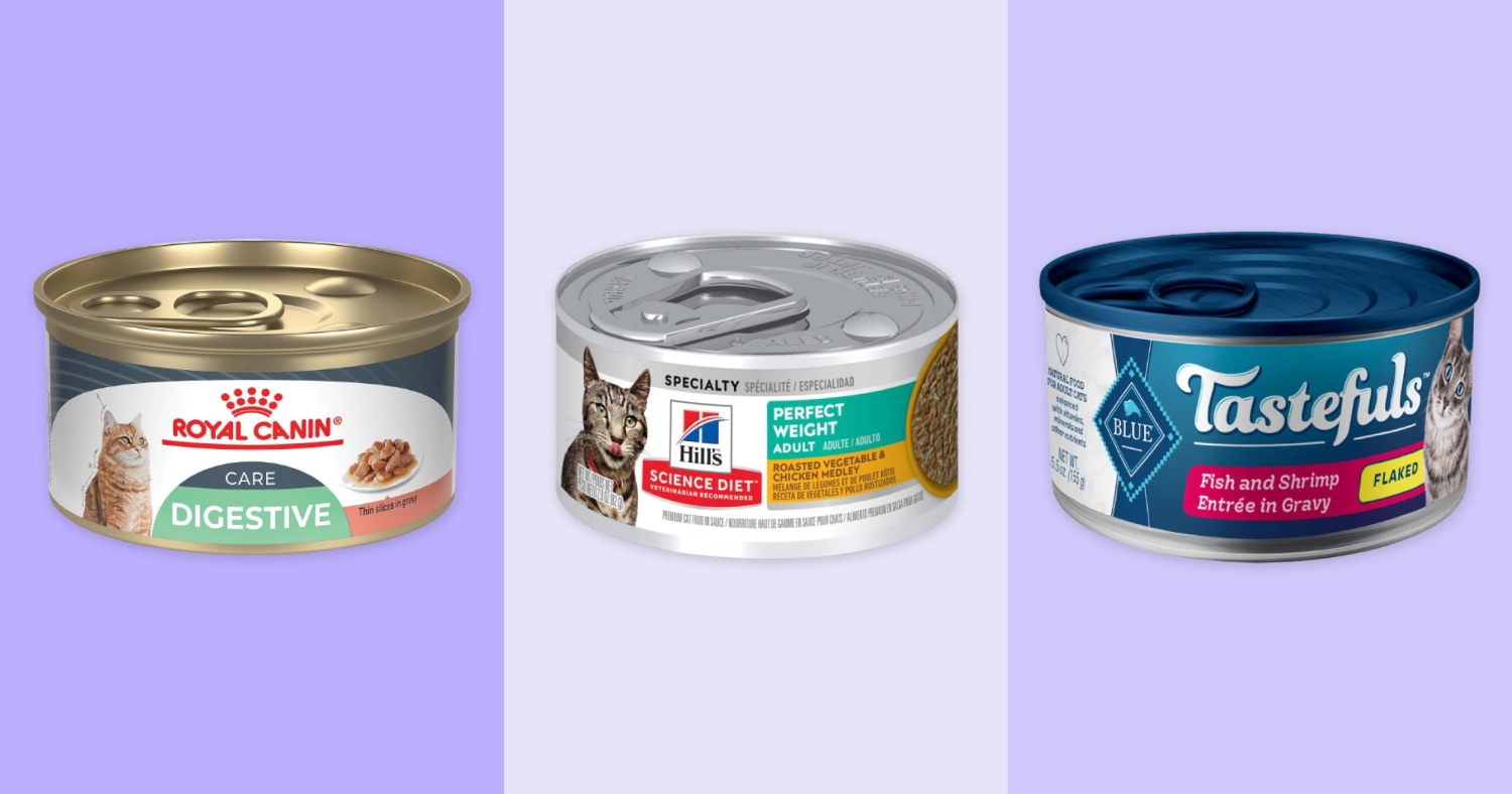 What Cat Food Do Veterinarians Recommend: Top Picks