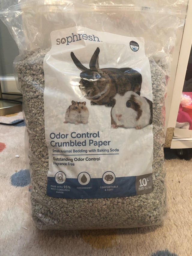What Cat Litter is Best for Hedgehogs