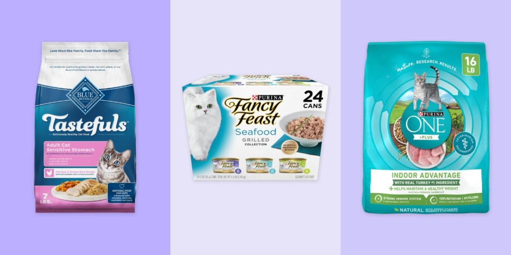 What Dry Cat Food is Best