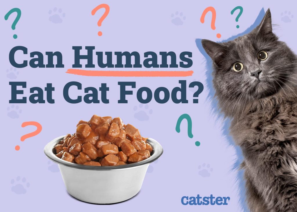What Happens If You Eat Cat Food