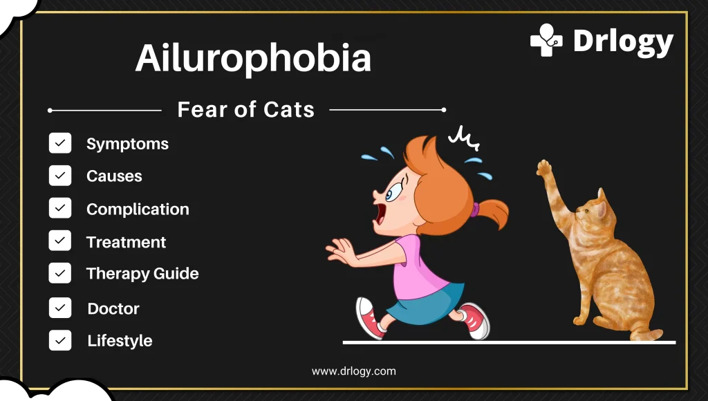 What is a Fear of Cats Called