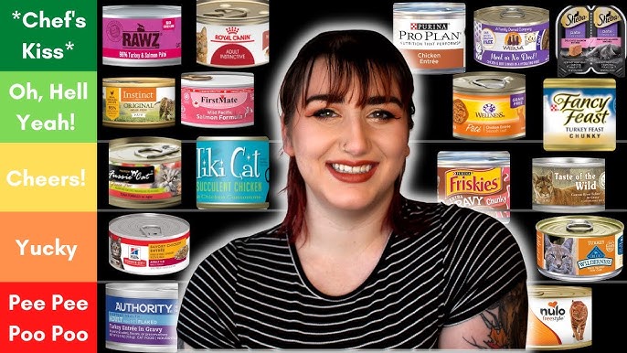 What is a Good Canned Cat Food