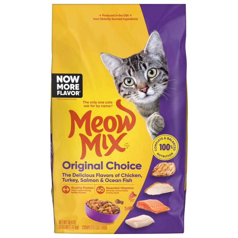 What is a Good Dry Cat Food