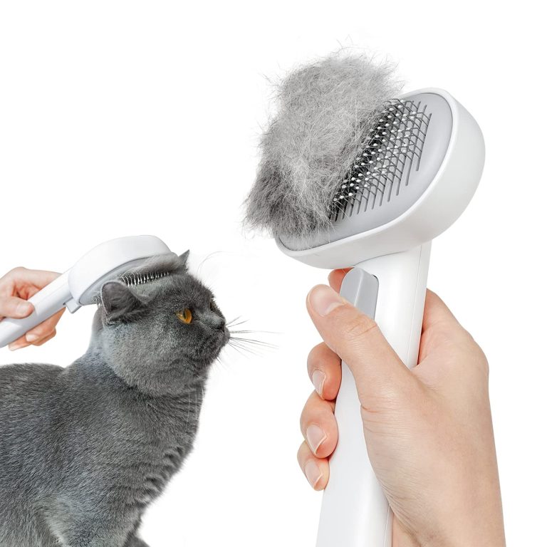 What is the Best Brush for Shedding Cats