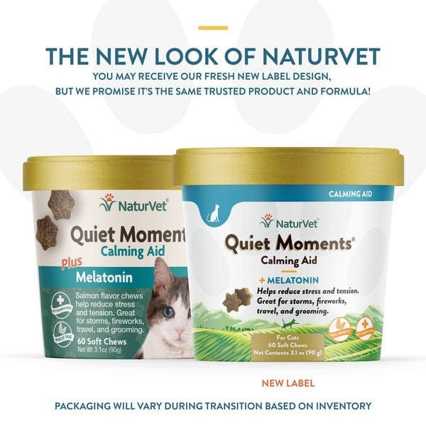 What is the Best Calming Products for Cat Travel