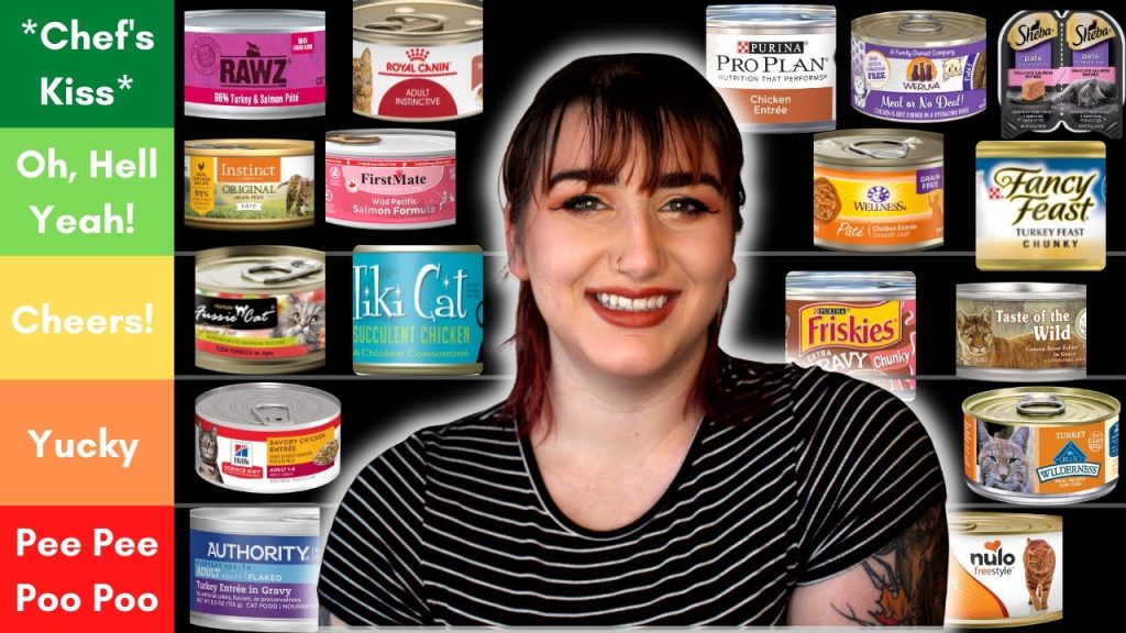 What is the Best Canned Cat Food for Cats