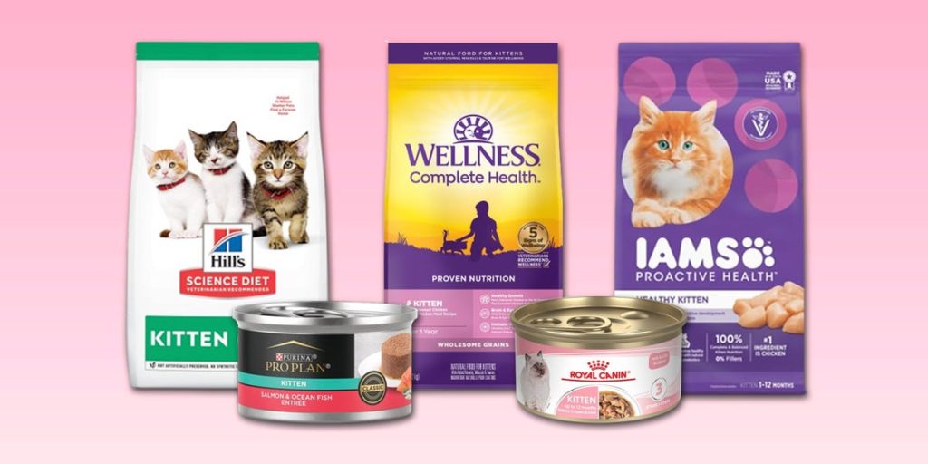 What is the Best Cat Food for Kittens
