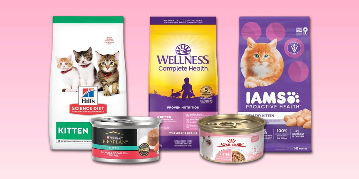 What is the Best Cat Food for Kittens: Ultimate Guide