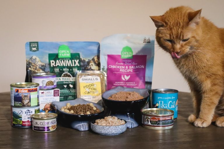 What is the Best Cat Food on the Market