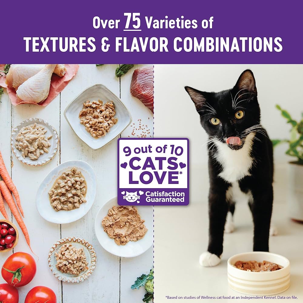 What is the Best Combination for Cats