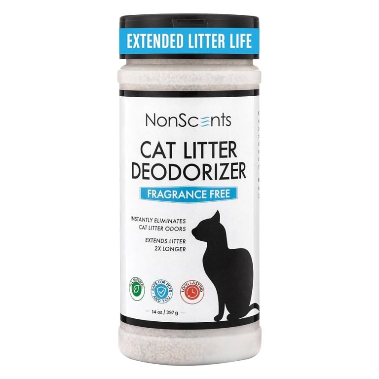 What is the Best Deodorant for Cat Litter