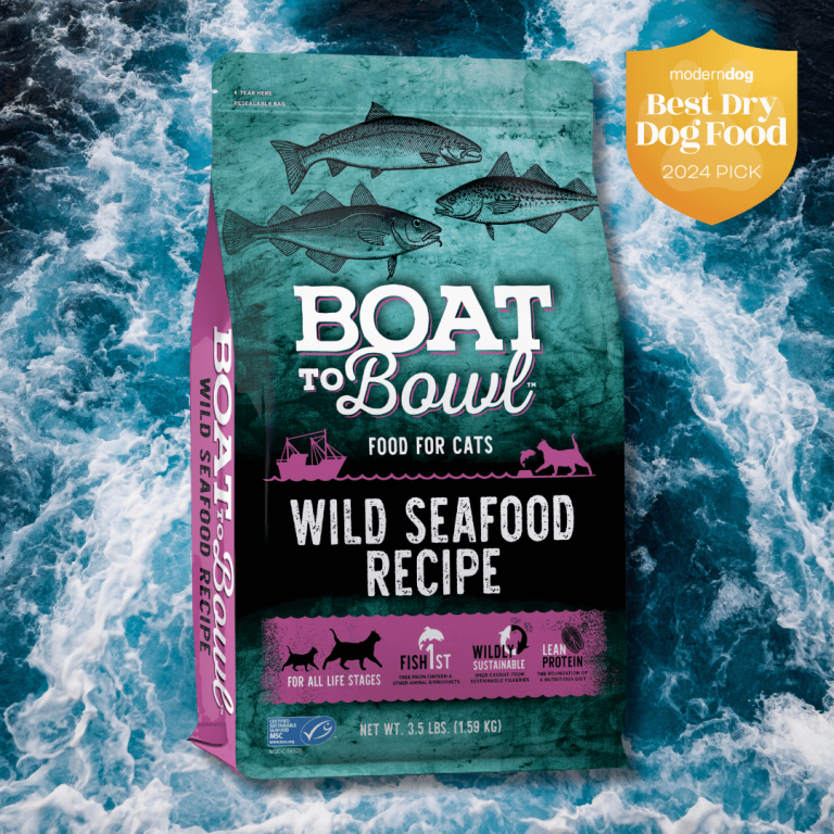 What is the Best Dry Cat Food for All Stages