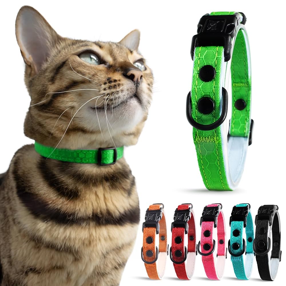 What is the Best Fabric for Cat Collars