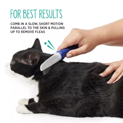 What is the Best Flea Comb for Cats