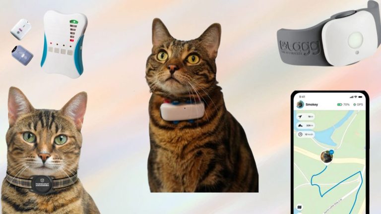 What is the Best Gps for Cats