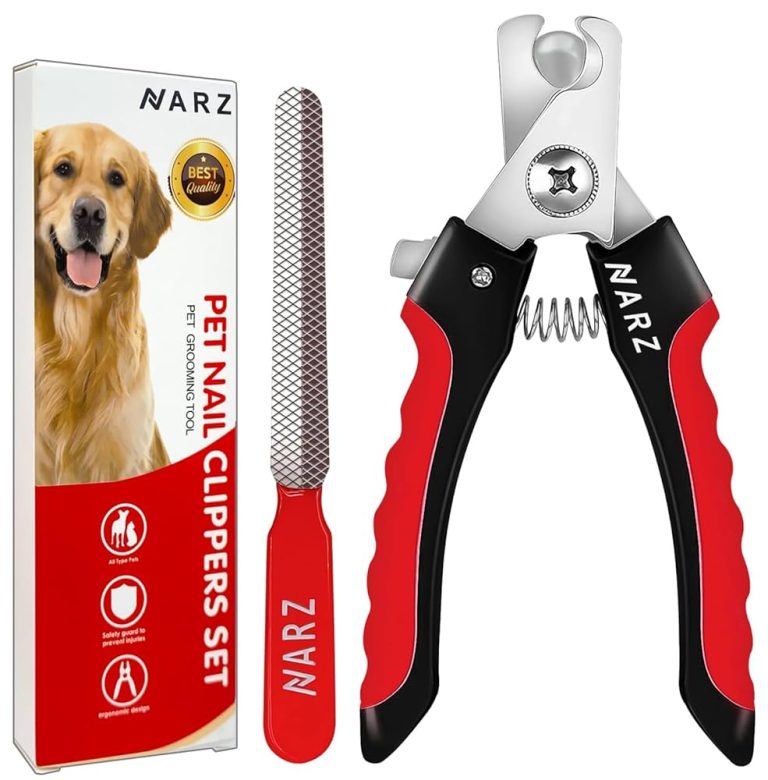 What is the Best Nail Buffer for Cats
