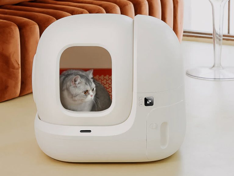 What is the Best Self Cleaning Cat Litter Box
