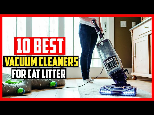 What is the Best Vacuum for Picking Up Cat Litter
