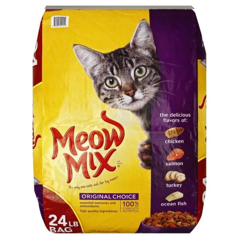 What is the Cheapest Cat Food