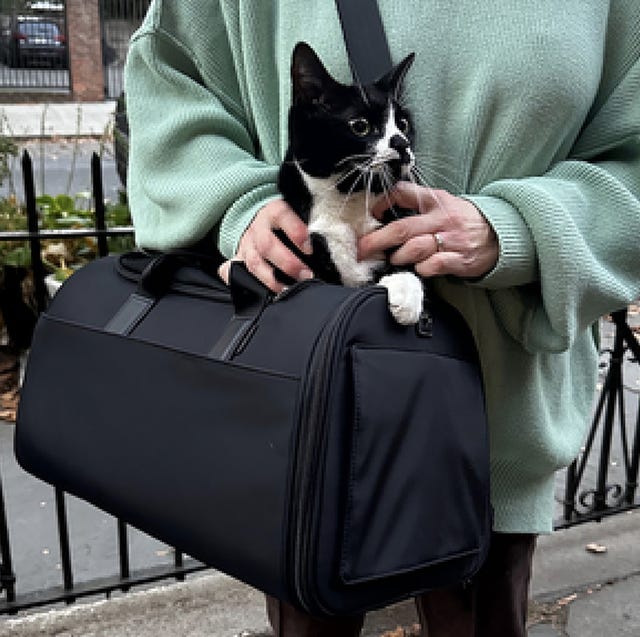 What Kind of Carriers are Best for Cats