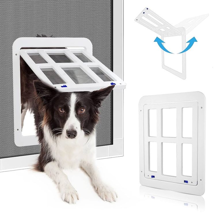 What Kind of Pet Door is Best for Cats