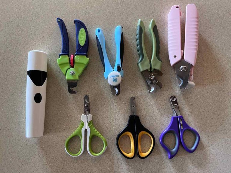 What Nail Clippers are Best for Cats