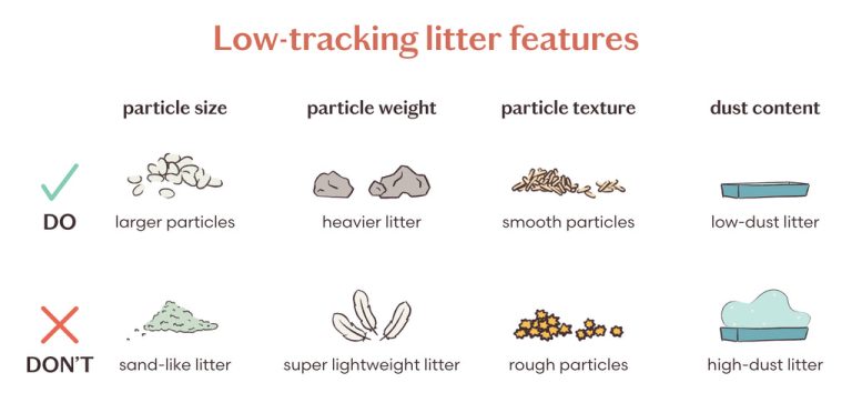 What Type of Litter is Best for Cats