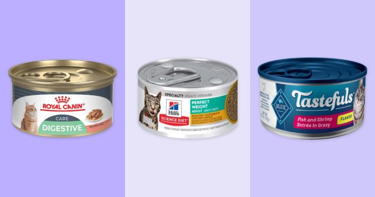What Wet Cat Food Do Vets Recommend