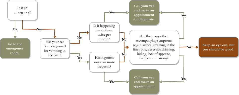 When to Take Your Cat to the Vet for Vomiting