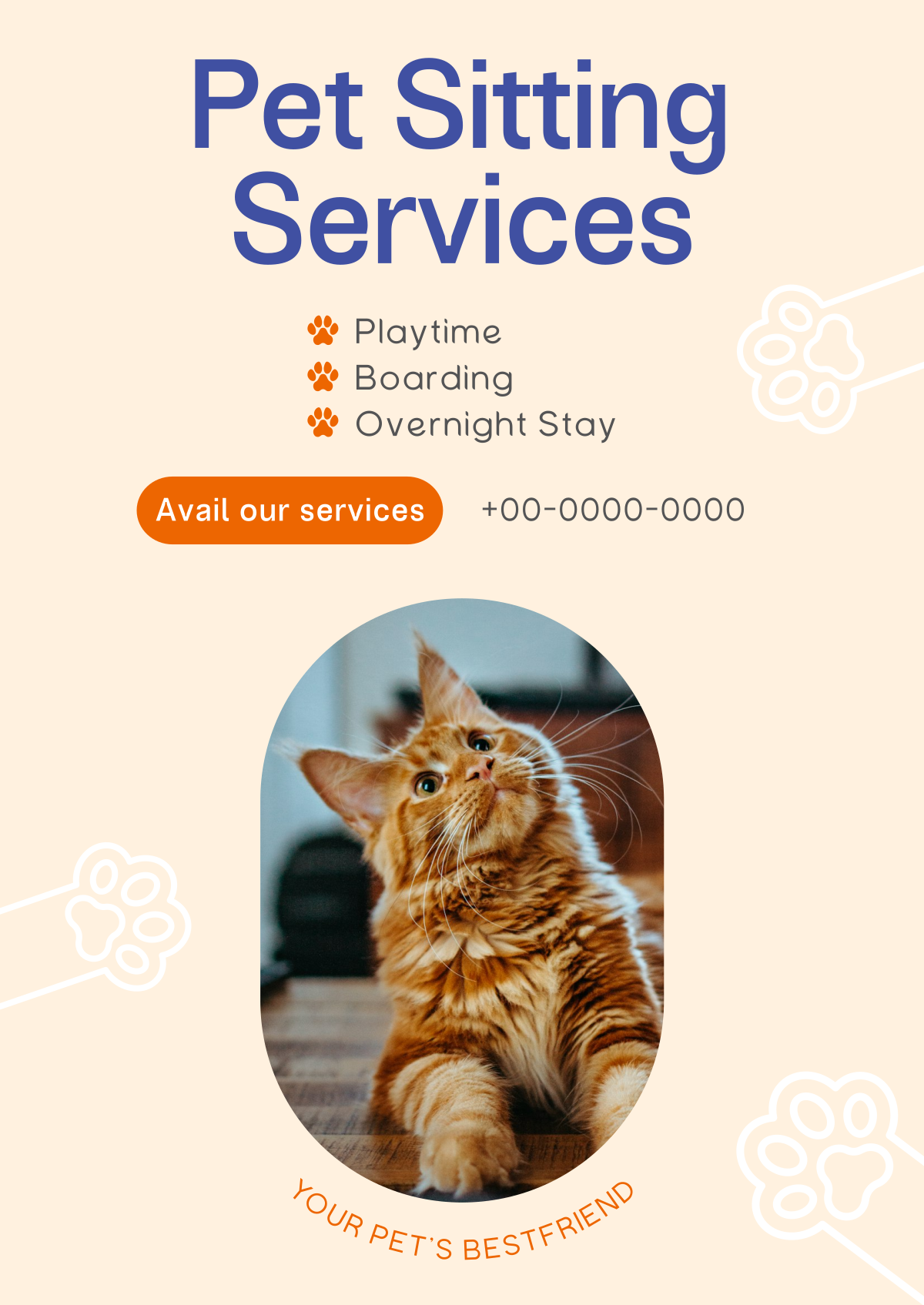 Where to Board a Cat near Me: Best Local Spots
