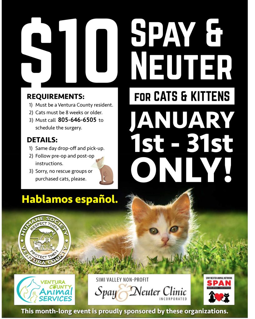 Where to Get Cat Fixed near Me