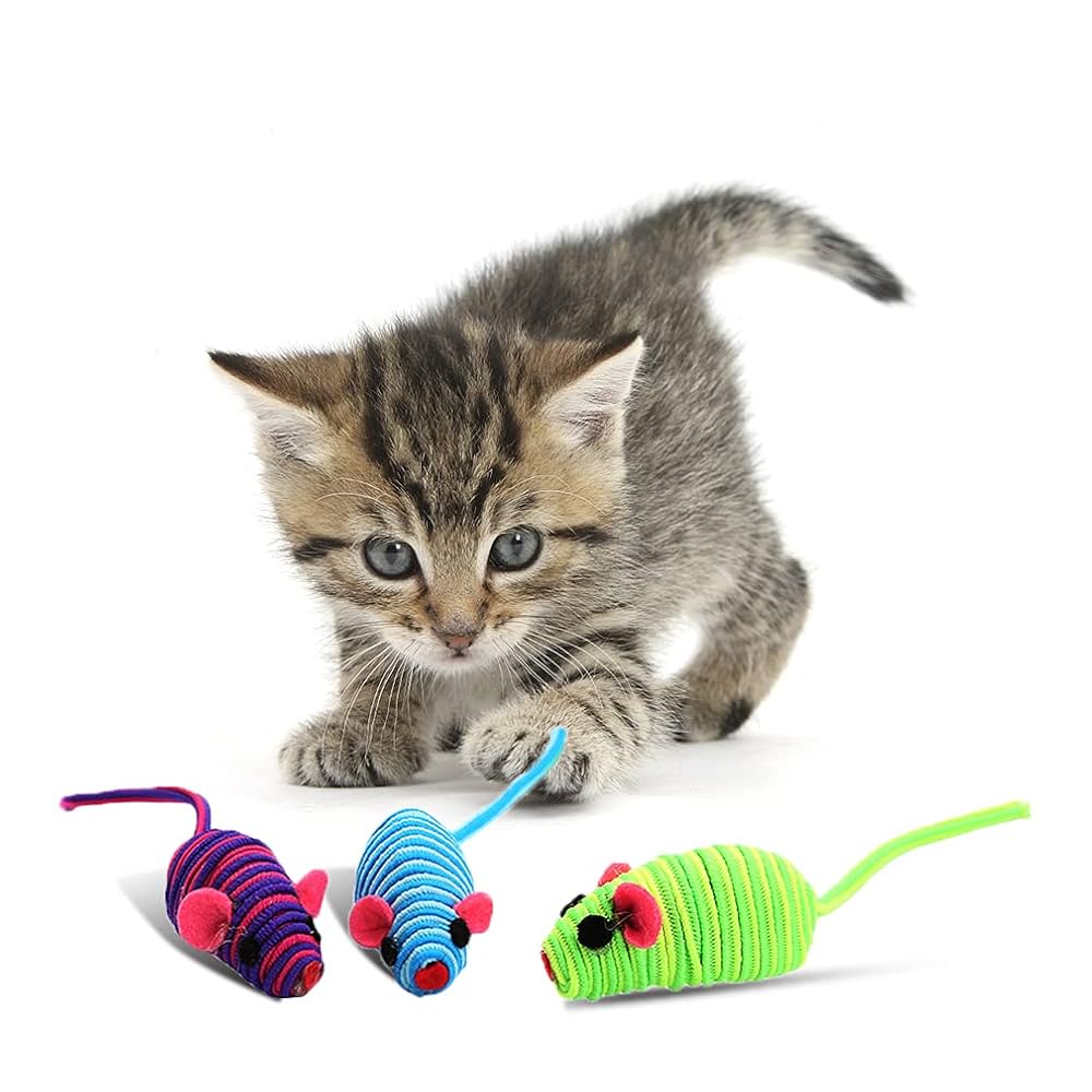 Where to Get Cheap Cat Supplies