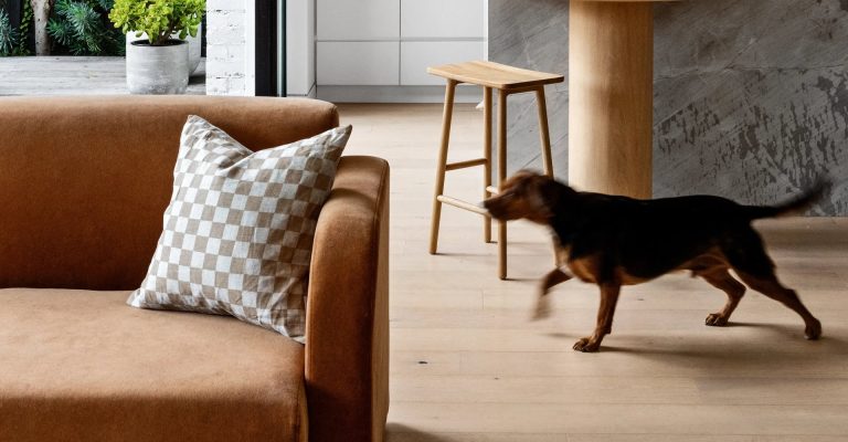 Which Fabric from Campaign Living Furniture Best for Cats
