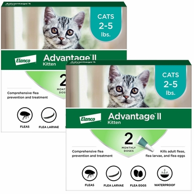 Which Vet Has the Best Reviews for Cat Care