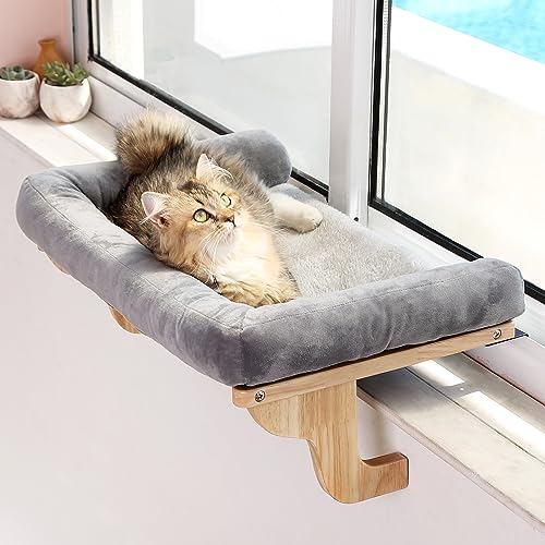 Window Mounted Cat Perch
