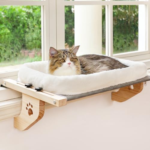 Window Sill Cat Perch