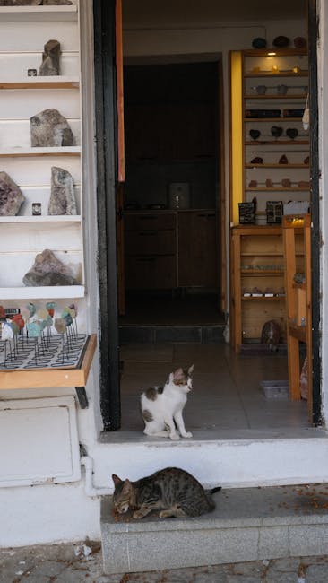 Can Cats Help Anxiety: Discover the Calming Benefits