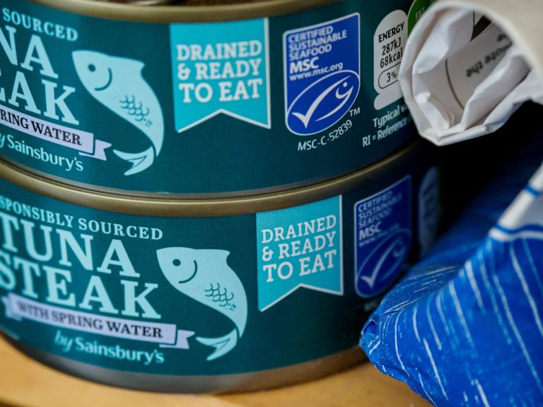 Can Dogs Eat Canned Cat Food: Unveiling the Truth